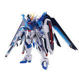 C賞 HG 1/144 ライジングフリーダムガンダム ソリッドクリア