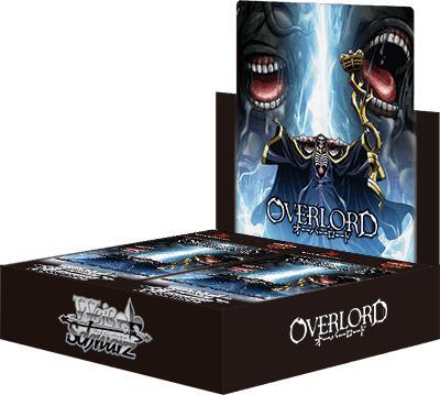 Overlord IV Japanese Volume 1 Packaging