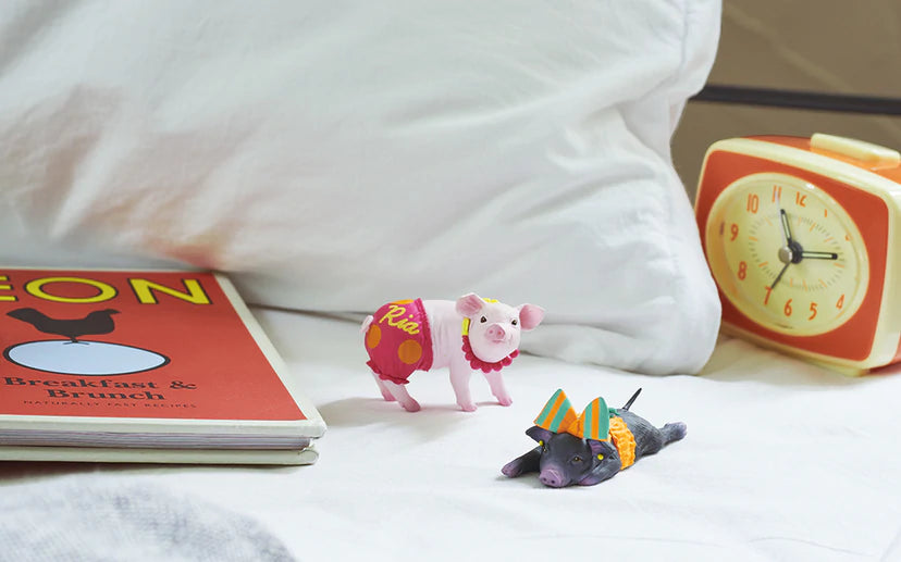 Lena's Favorite Mini Pig - Lumius Inc