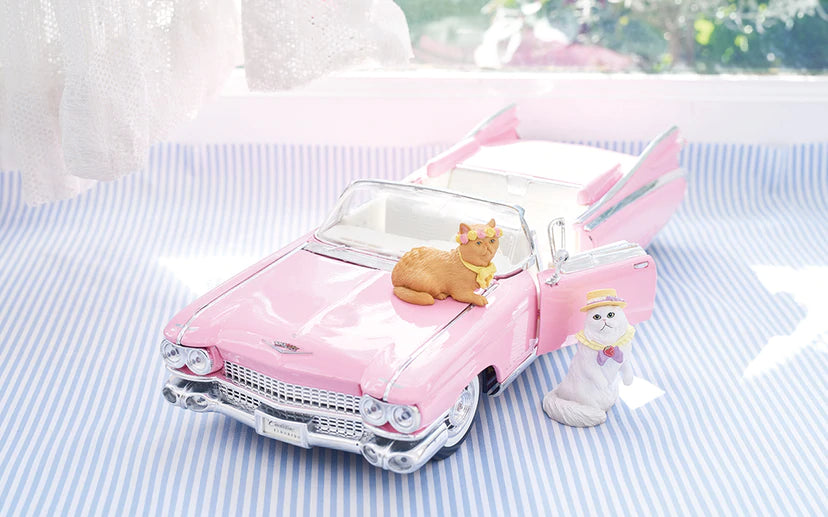 Mary's Favorite Cat - Lumius Inc